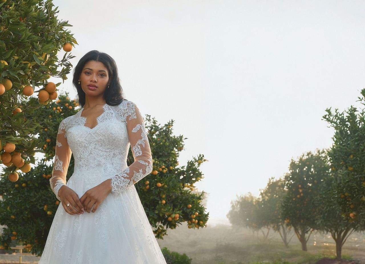 Wedding Industry News: The Love Story That Started It All