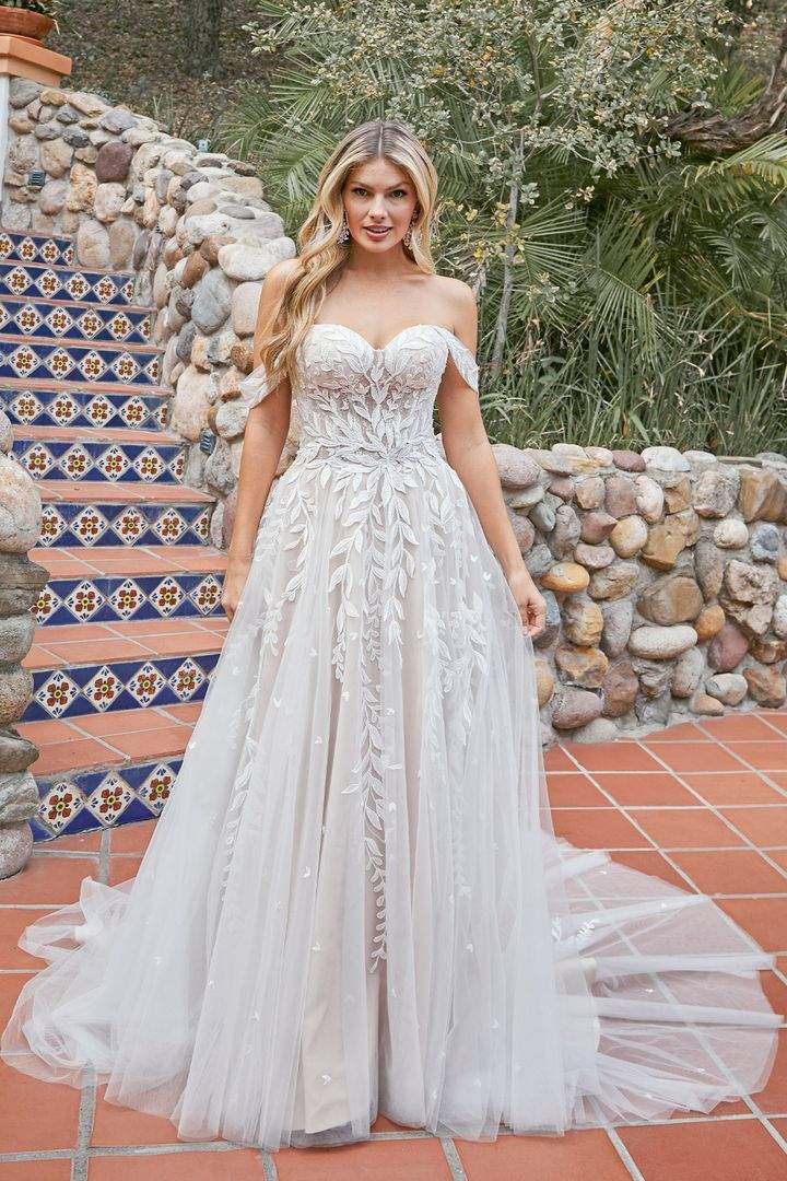Wildest Dreams Fall 2021 Collection by Beloved
