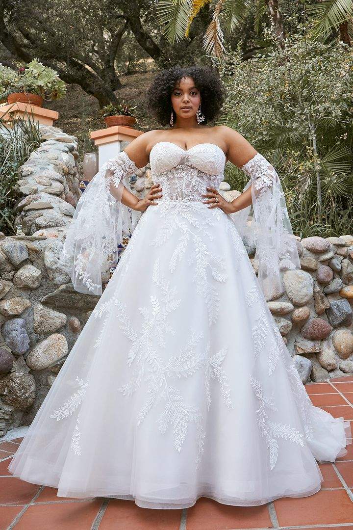 Wildest Dreams Fall 2021 Collection by Beloved