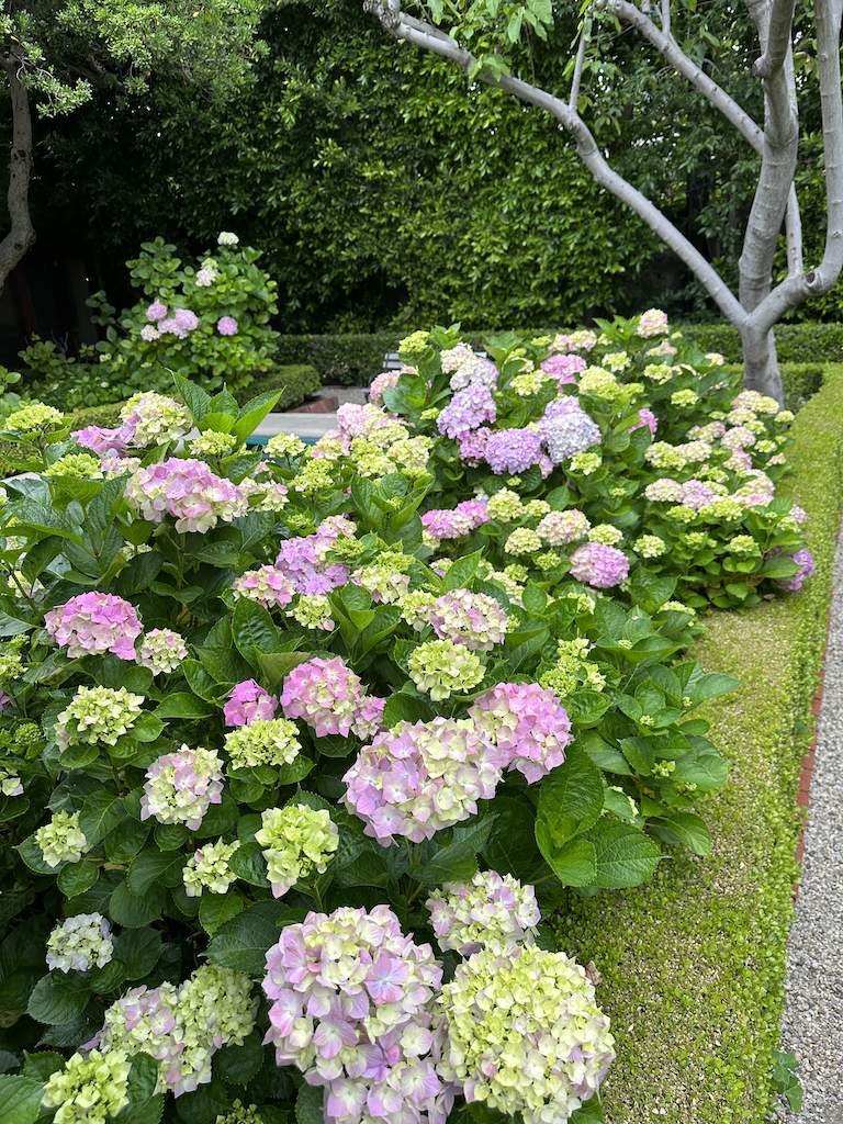 Behind-the-Scenes: Casablanca Bridal in Los Angeles (Spring 2024 Collection)